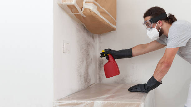 Professional Attic Mold Removal technician working in Highlands, NJ