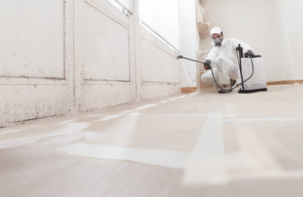24/7 Emergency Attic Mold Removal experts in Highlands, NJ