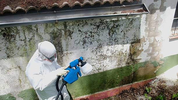 Trusted Commercial Mold Remediation service in Highlands, NJ - Cheap Mold Removal